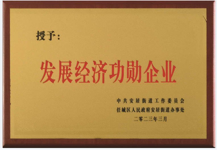 发展经济功勋企业